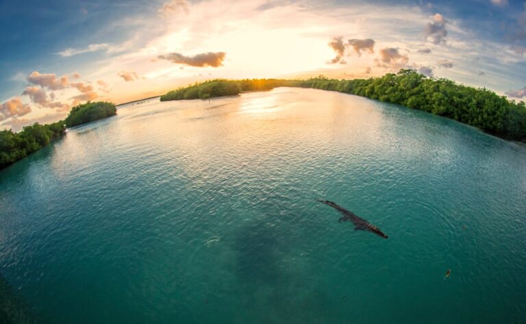 Descubre las maravillas naturales de Quintana Roo Áreas Protegidas que