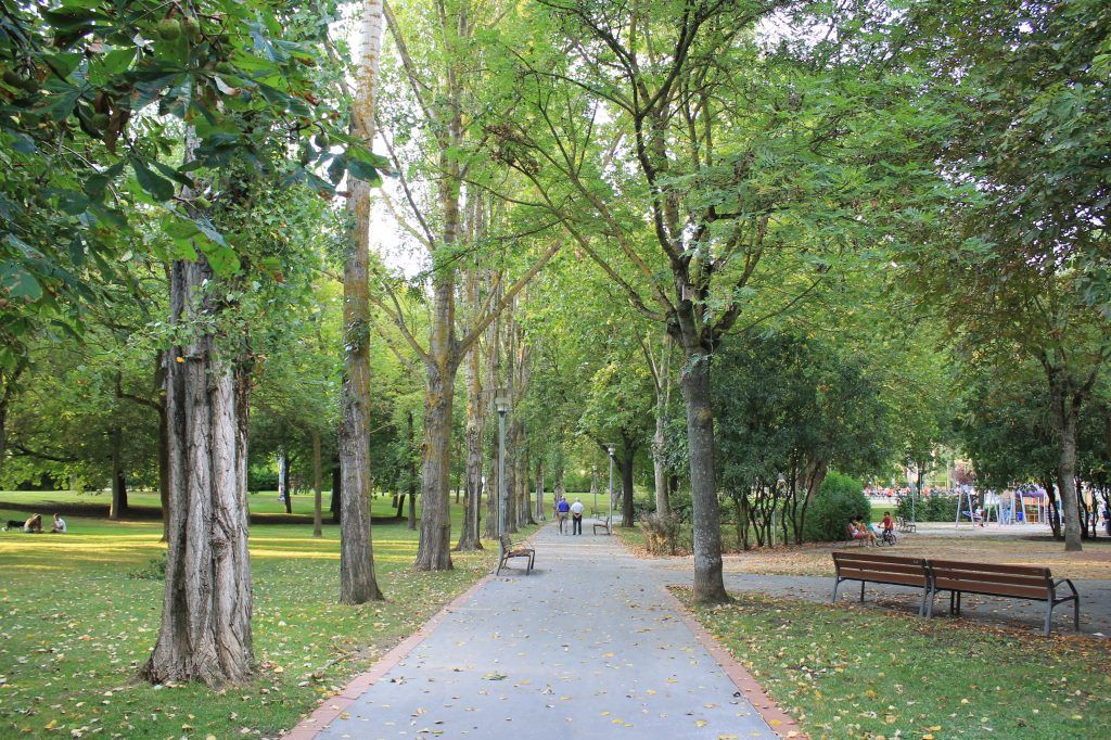 Los árboles urbanos y bienestar personal