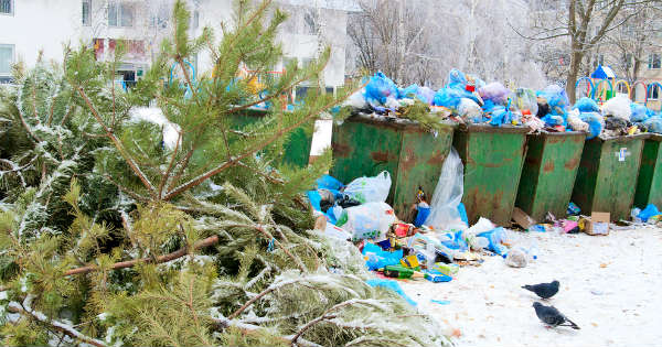 Las fiestas de fin de año y el medio ambiente