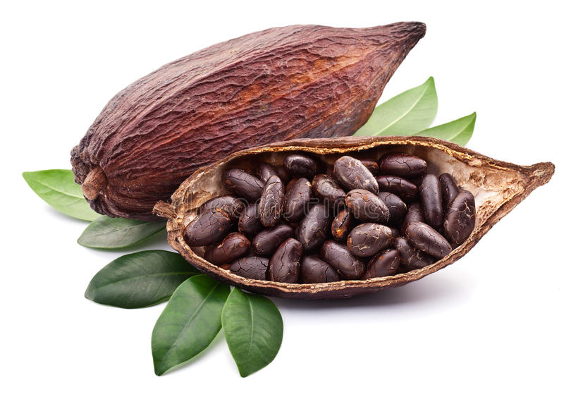 cocoa pod white background 35372521