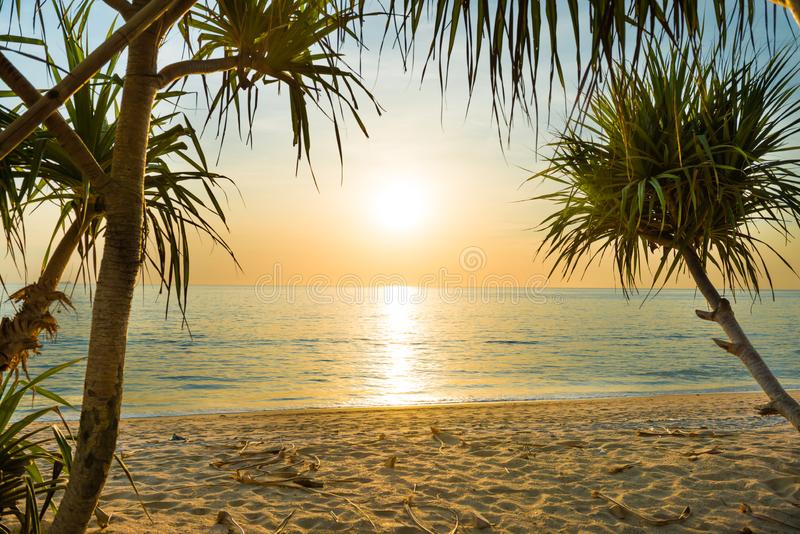 puesta del sol en la playa tropical con las palmas paisaje hermoso palmeras 146555894