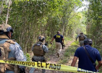 Cancún: Caen cuatro sujetos con varios kilos de marihuana y otras drogas