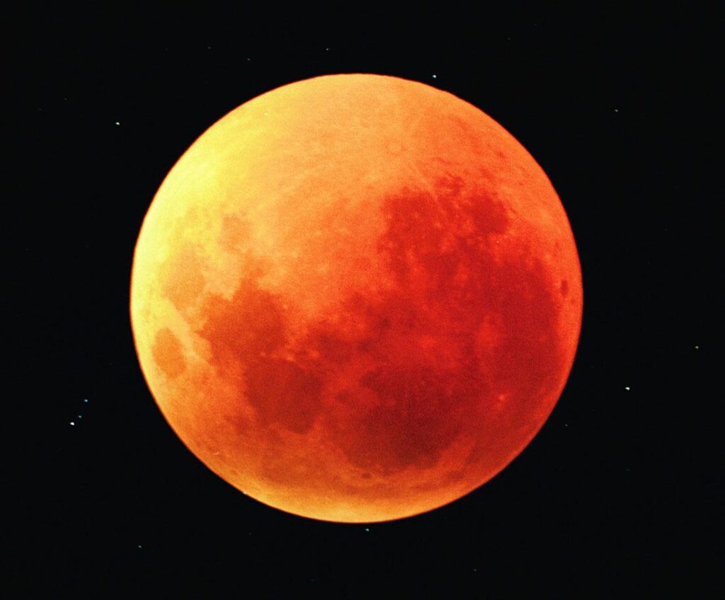 ¿Te perdiste el eclipse lunar total? Estas son las mejores FOTOS del fenómeno