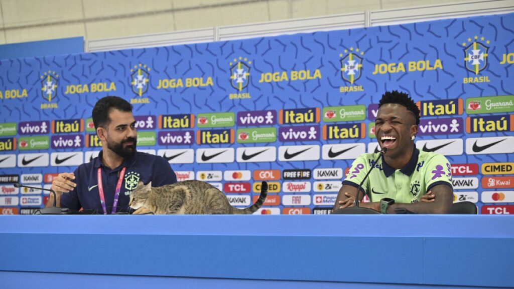 Gato se 'cuela' en conferencia de la Selección de Brasil y lo avientan (video)