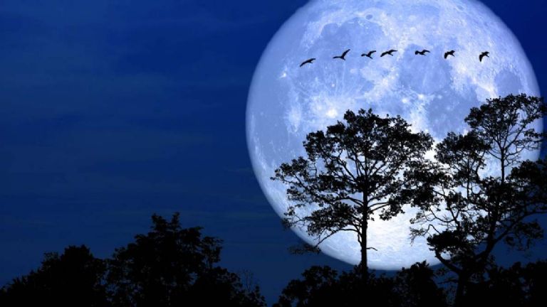 ¿Cuándo y a que hora ver la Luna Llena de Hielo, la última del año?