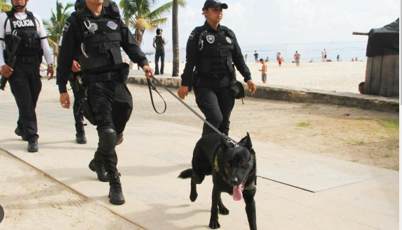 En orden, festejos de Navidad en la zona turística de Playa del Carmen