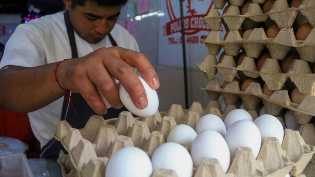 ¿Es oro? El precio del huevo rebasa los 100 pesos en algunas ciudades de México