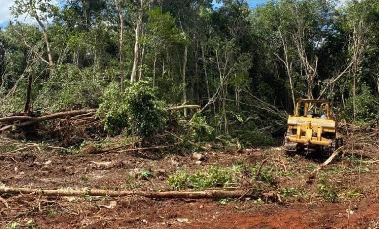 Ejidatarios de Bacalar impiden trabajos de desmonte para la ruta del Tren Maya