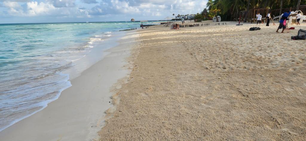 Fortalecen trabajos de limpieza de sargazo en playas de Isla Mujeres