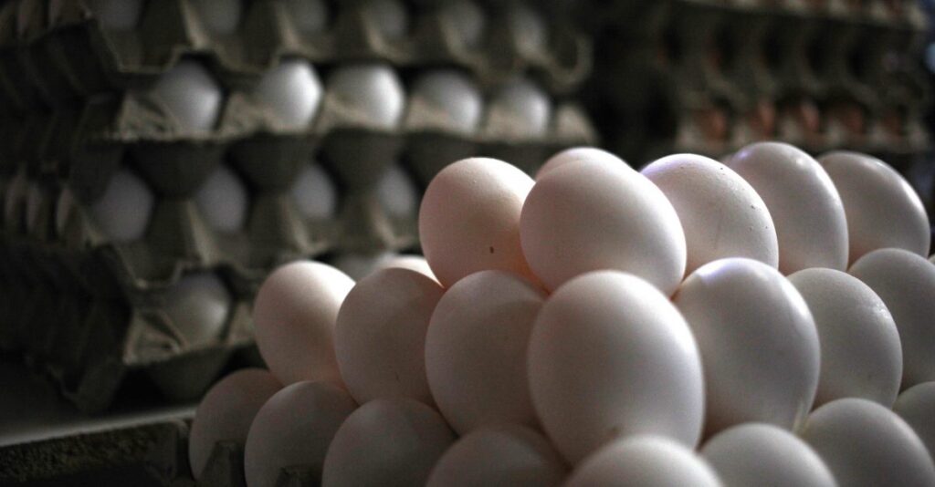 Profeco prevé que baje el precio del huevo en México para esta fecha