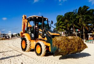 Gobierno de Solidaridad intensifica limpieza del sargazo en playas 1