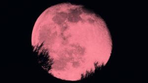 Luna Rosa de abril de 2023 cuando y donde verla en Mexico 0