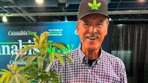 Peña dio a Vicente Fox 63 permisos para comerciar cannabis, revela AMLO