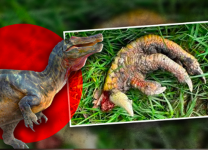 VIRAL: Mujer encuentra ‘garra de dinosaurio’ en su patio en Reino Unido