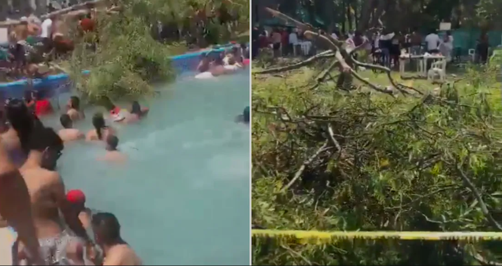 Muere bebé lesionado tras caída del árbol en el parque acuático de Comanjilla