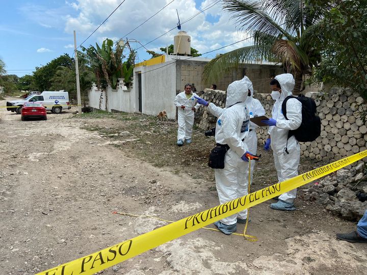 Hallan cadáver y un cuerpo desmembrado en la región 203 de Cancún