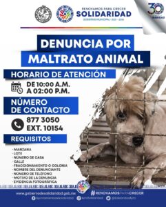 Lili Campos aplica la primera sanción por maltrato animal en Solidaridad