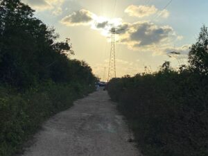 Hallan cuerpos de dos mujeres degolladas y torturadas en Cancún