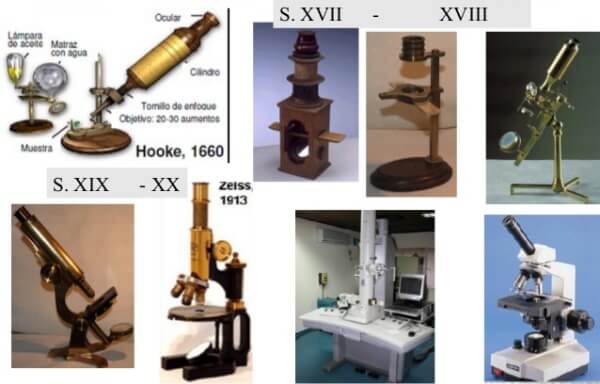 Microscopio: Está es su historia de origen y su evolución