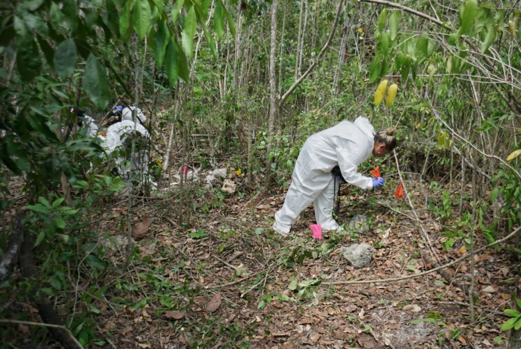 Encuentra FGE Quintana Roo restos óseos en operativo de búsqueda en Cancún