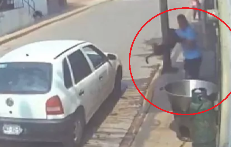 Avienta a un perrito a un cazo con aceite y por fin se hace justicia