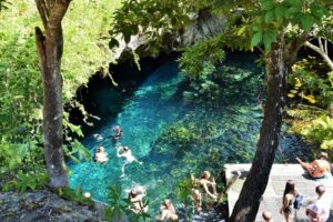 La natación, el buceo y el snorkel son actividades populares en el Gran Cenote, ya que brindan la oportunidad de explorar sus cristalinas profundidades. Mientras te sumerges en sus aguas, te encontrarás rodeado de una variedad de peces tropicales y podrás admirar la majestuosidad de las formaciones rocosas que se han desarrollado a lo largo de los siglos.