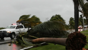 Historia de los huracanes en Quintana Roo: Una mirada a los impactos naturales en la región