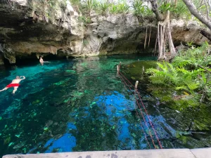 El espectacular “Gran Cenote” de Tulum: Un Paraíso Subterráneo de Aguas Cristalinas