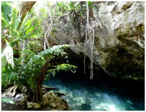 El espectacular “Gran Cenote” de Tulum: Un Paraíso Subterráneo de Aguas Cristalinas