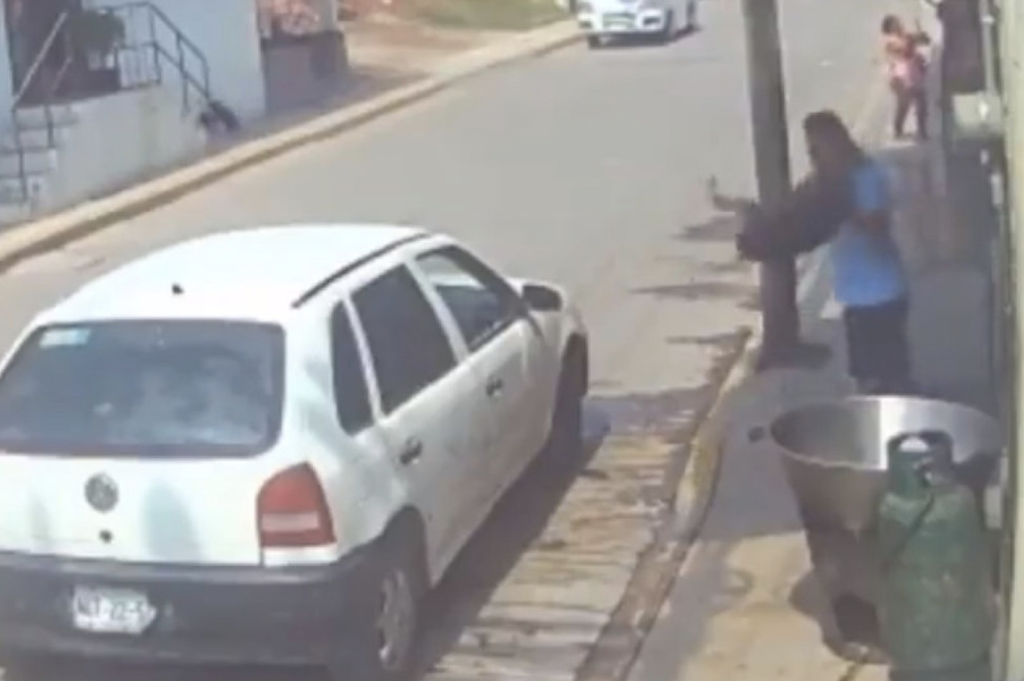 Perrito es asesinado por hombre tras arrojarlo a cazo de aceite hirviendo