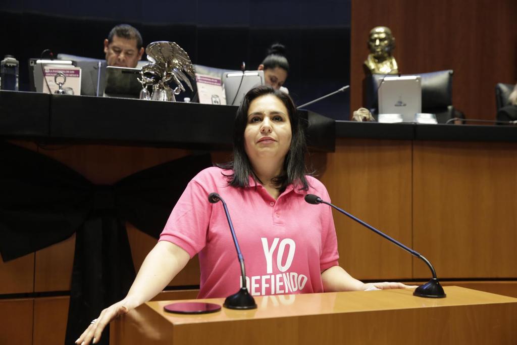 Mayuli Martínez Plan B atentaba contra democracia y Corte dio la razón