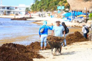 Refuerzan operativos de limpieza de playas en Solidaridad 2