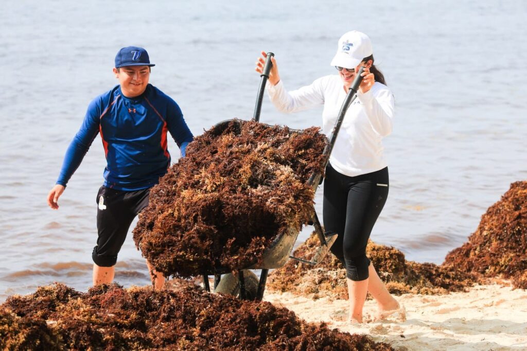 Refuerzan operativos de limpieza de playas en Solidaridad