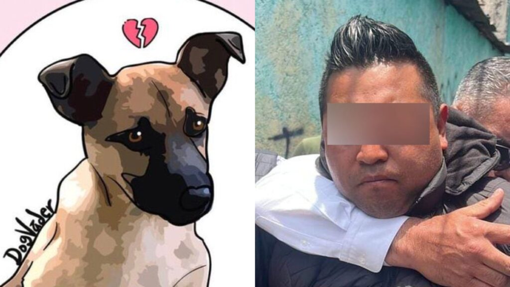Sergio "N", acusado de asesinar a perrito en Edomex, fue golpeado al salir de la FGJ