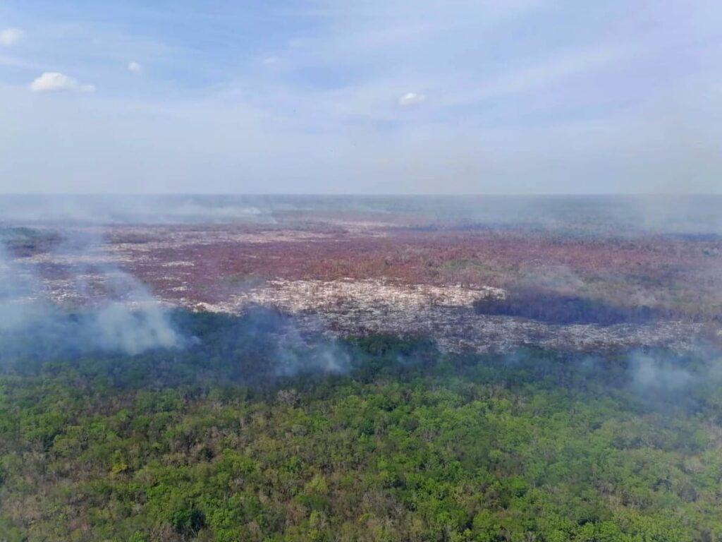 Con labor incansable de bomberos forestales, controlan 75% del incendio en San José