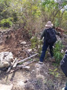 Hallan restos óseos y un cuerpo en Tres Reyes, Cancún 