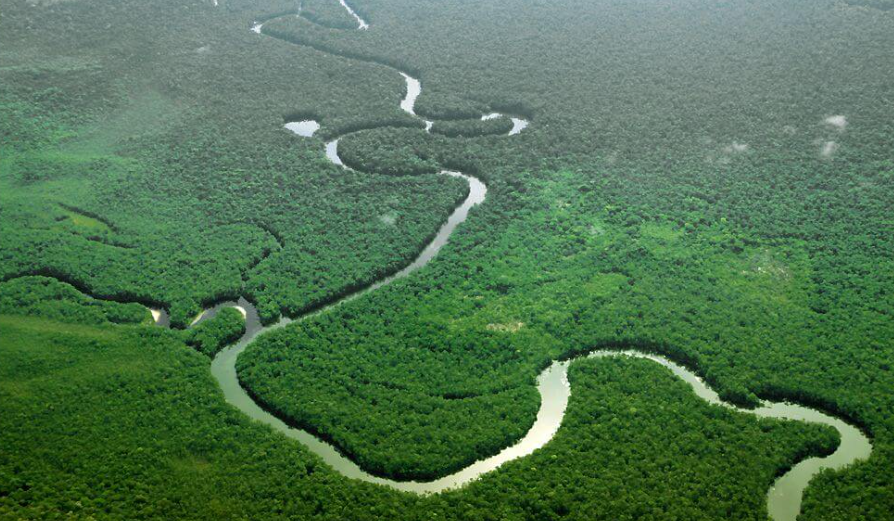 Los 5 ríos más grandes del mundo: Maravillas de la naturaleza que alimentan el planeta