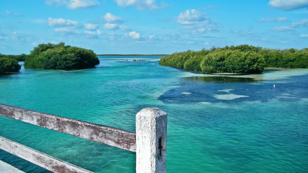 Descubre las maravillas naturales de Quintana Roo: Áreas Protegidas que cautivan al mundo