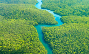 Los 5 ríos más grandes del mundo: Maravillas de la naturaleza que alimentan el planeta