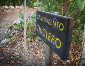 Fin a los encuentros sexuales: Erradican el "Cruising" en el parque Kabah de Cancún