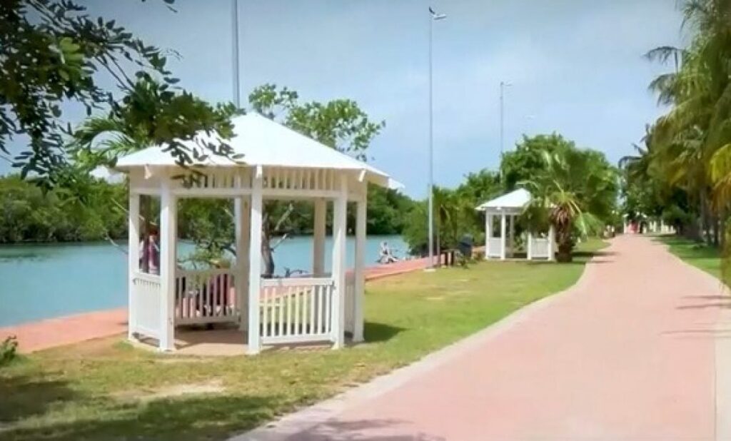 Jardín del Arte: un bello lugar de Cancún para disfrutar de la naturaleza