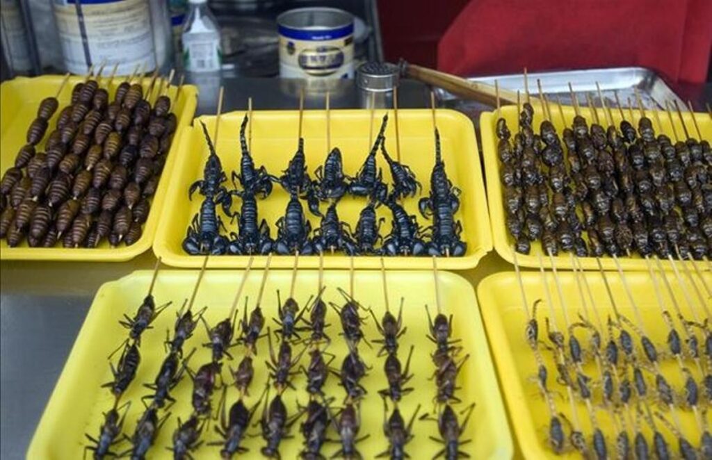 Negocio de insectos en México será potenciado por empresa francesa.