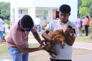 Lanzarán campaña de esterilización en Solidaridad para reducir fauna callejera