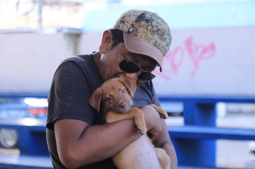 Lanzarán campaña de esterilización en Solidaridad para reducir fauna callejera