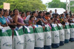 Entregan semillas de maíz y fertilizantes del Bienestar al campo quintanarroense