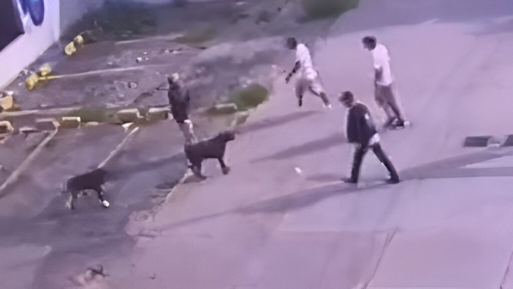 Asaltante mata a perro que defendía a su dueño (VIDEO)