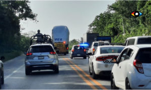 Primer vagón del Tren Maya llega a Cancún (FOTOS)