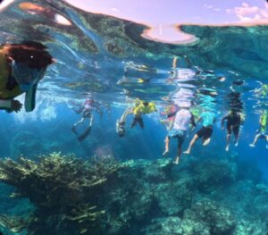 Fortalecen restauracion y siembra de corales en Punta Sur de Cozumel 1