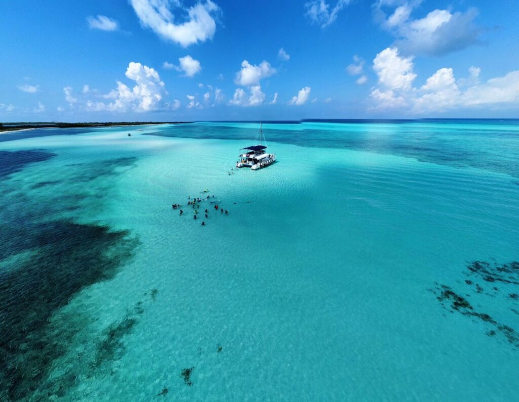 Fortalecen restauración y siembra de corales en Punta Sur de Cozumel