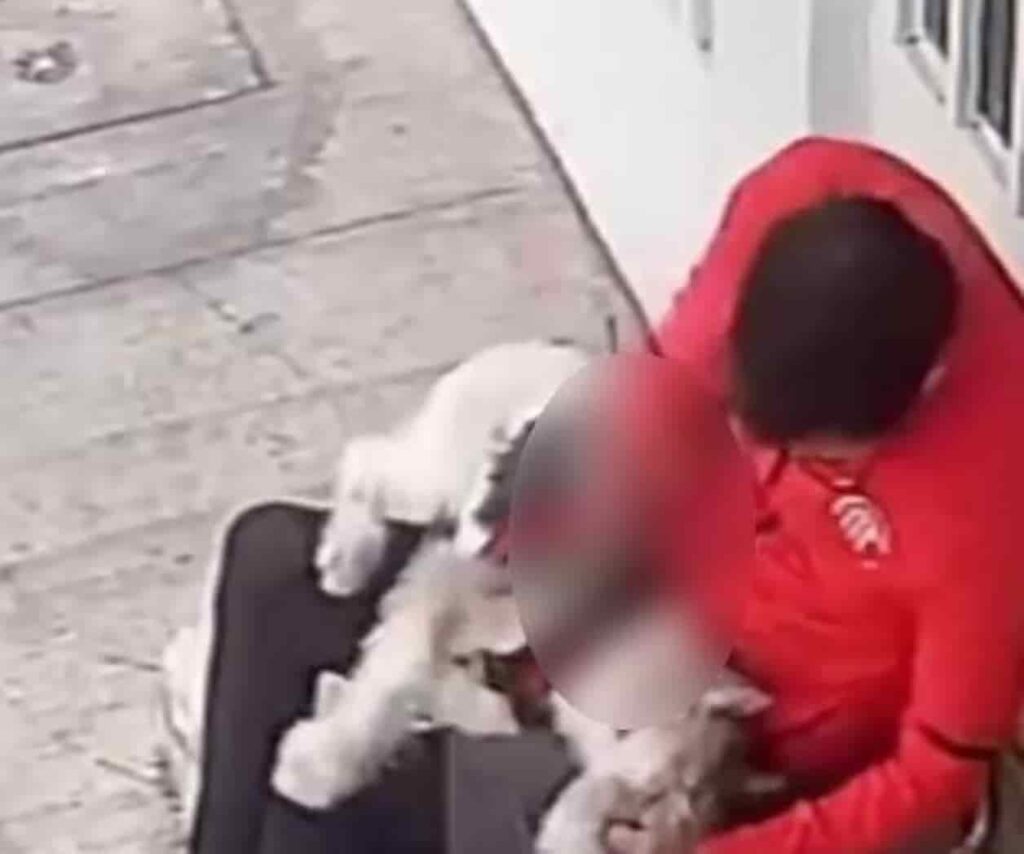 Hombre golpea a perro en Parque Delta de la CDMX (Video)